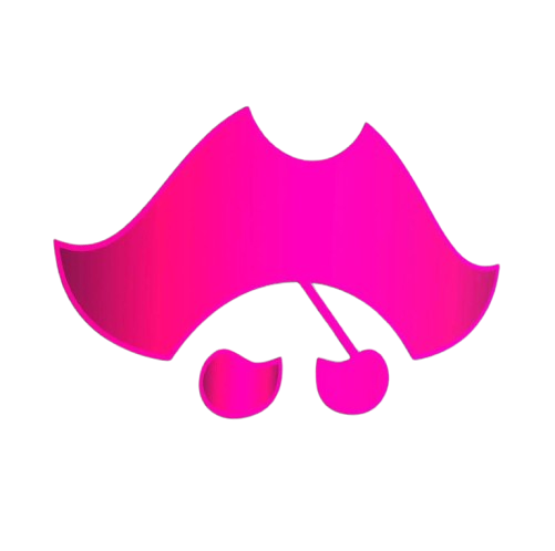 Piratenhits24